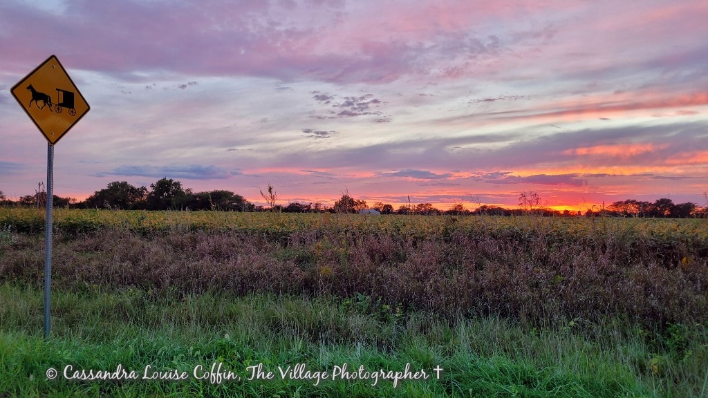 country side